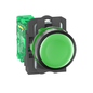 ZB5RTA3 - TRANS. ZB5R HEAD, CAPS GREEN W/O MARKING. Sold in units of 1