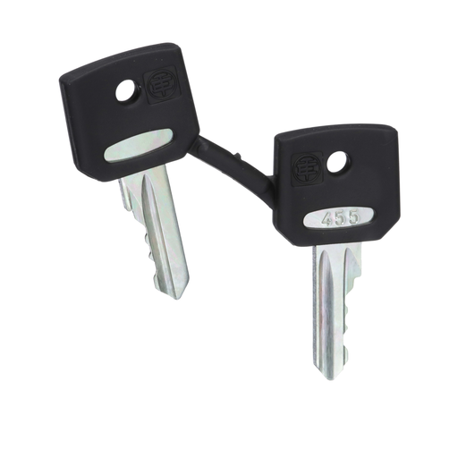 ZBG455 - KEYS. Sold in units of 1