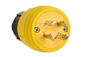 28W77 - TL PLUG IP67 4W 30A 600V L1730P. Sold in units of 1