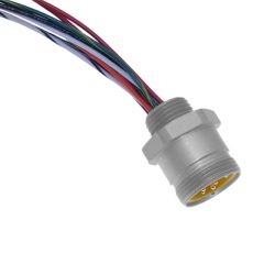 MIN-19MR-1 - 19 PL MALE RCP 1' LEADS. Sold in units of 1